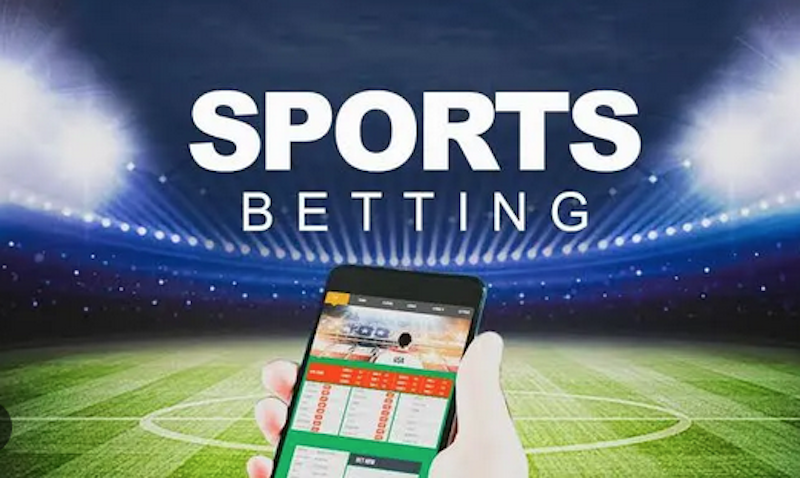Découvrez toutes les fonctionnalités de Betwinner