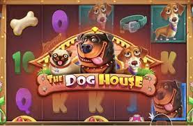 도그하우스슬롯 최고의 슬롯 게임의 세계