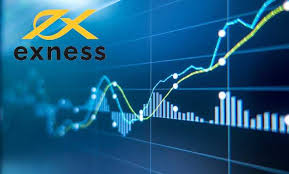 Best Account for Exness Find the Perfect Fit for Your Trading Needs