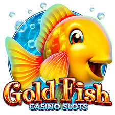 골드피쉬 도메인 브랜드 전략과 기술적 고려사항