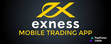 Your Ultimate Guide to Exness Forex Calculator